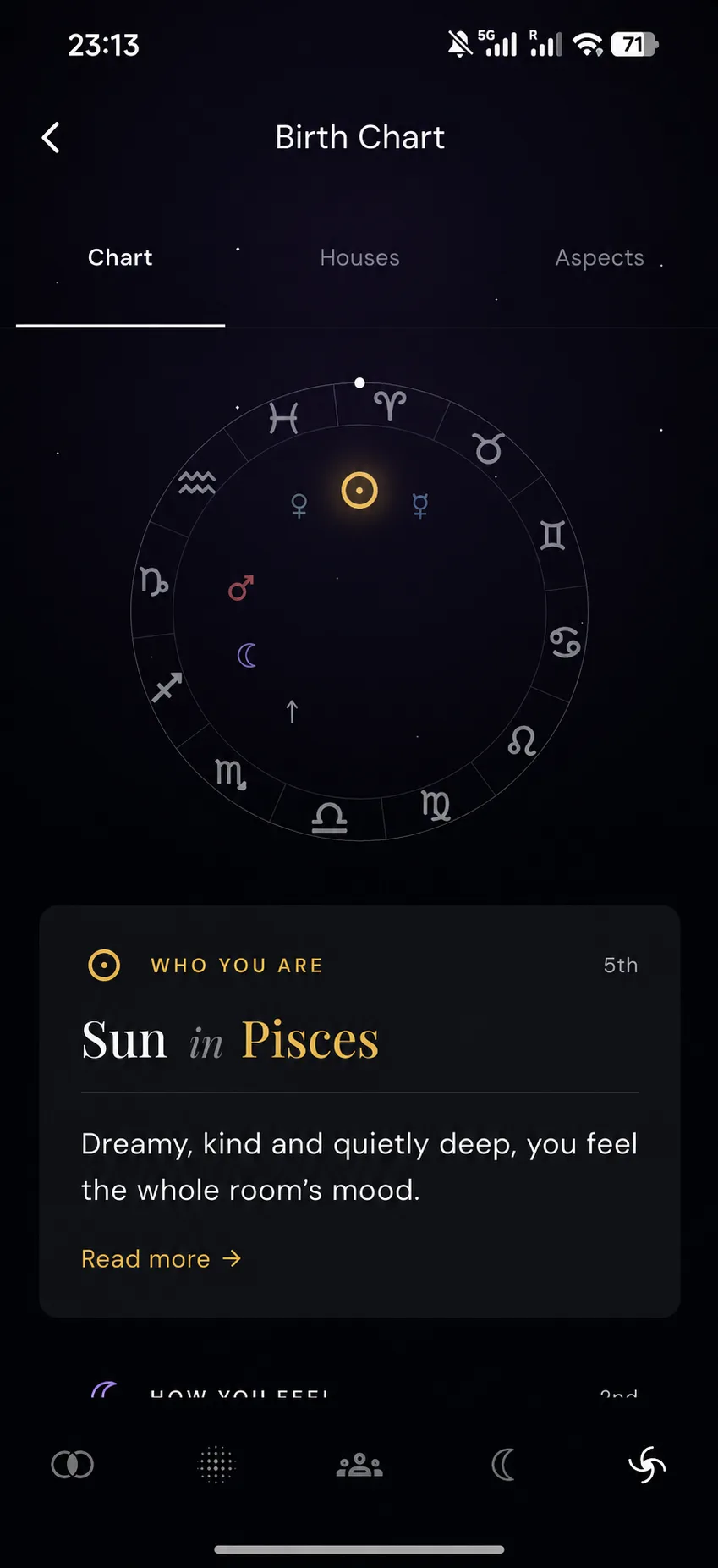 Dxstinity birth chart screen: the natal wheel and a card reading Sun in Pisces